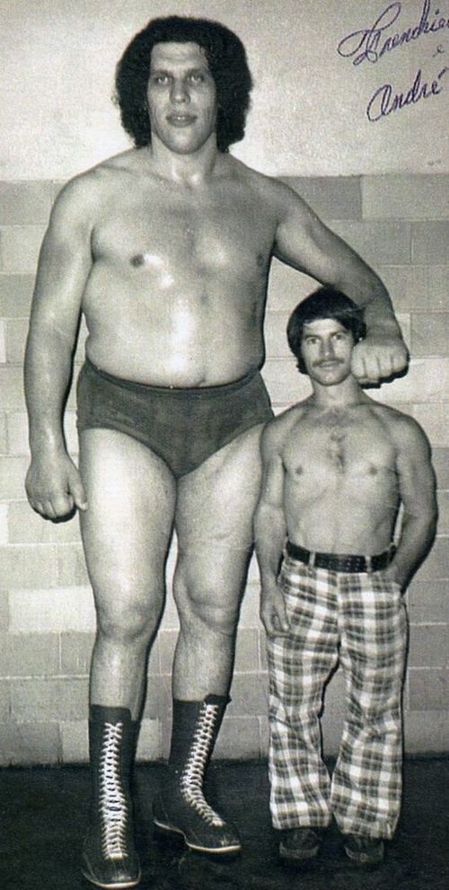 andre the gigant andre the gigant